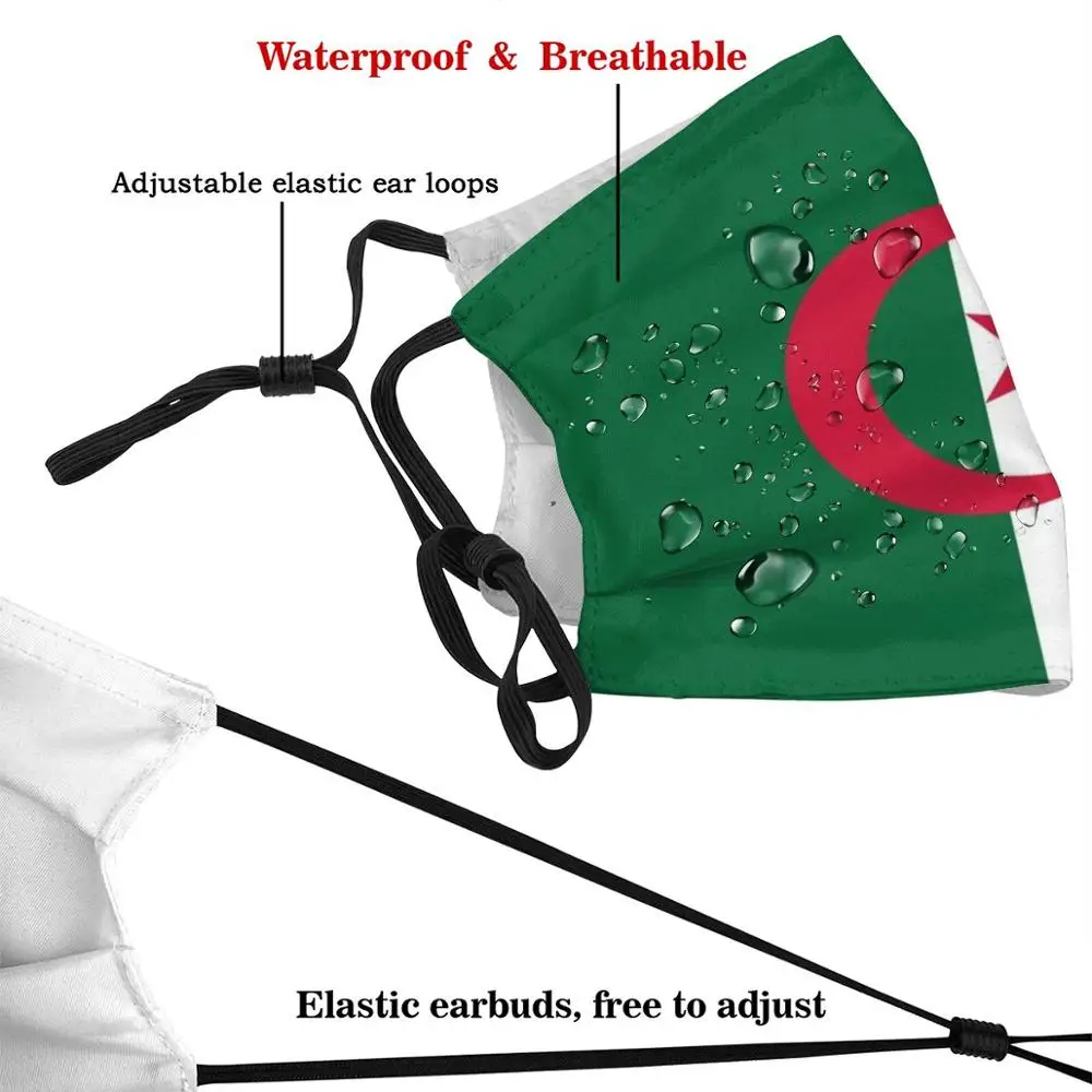 Algerian Flag Of Algeria Adult Kids Anti Dust Filter Diy Mask Algerian Flag Algeria Algerian City Girls Algerian Family Strong