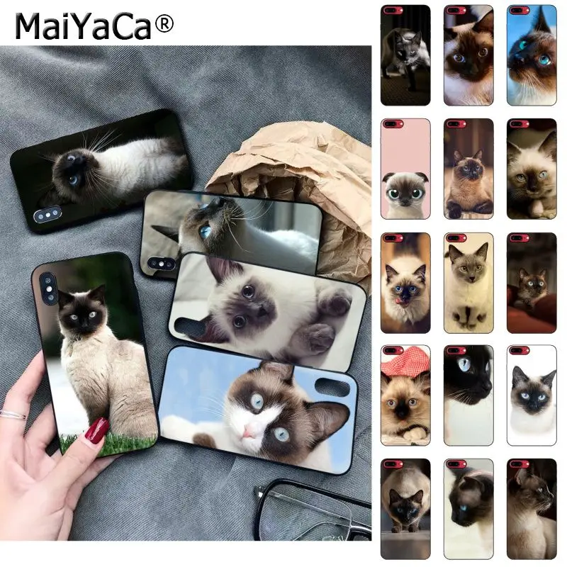 MaiYaCa pet siamese cat Fashion Phone Case for Apple iphone 11 pro 8 7 66S Plus X 5S SE XS XR XS MAX Cellphones