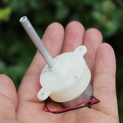Mini 300 Gear Motor DC 6V-12V 7.2V 9V 10RPM Slow Speed Reducer Long Shaft Gearbox Reversal Small Electric Toy Stage CW CCW