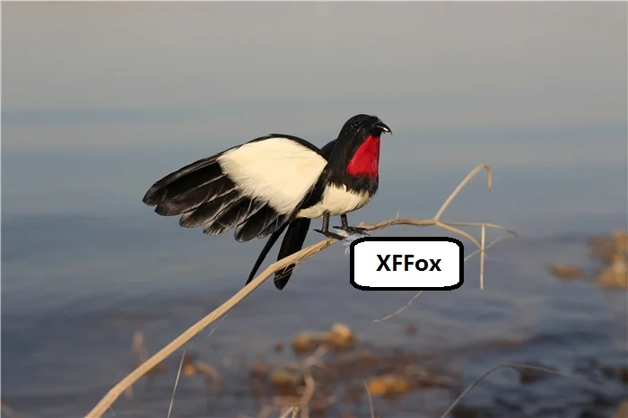 16cm Small Cute Swallow Model Real Life Simulation Foam & Furs Wings Bird Soft Toy Gift for Kids And Bird Lovers