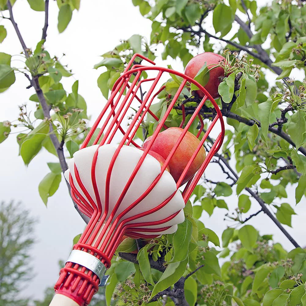 Detachable Telescopic Rod Picking Set Apple Pick Device Gardening Tools Fruit Picker Portable Harvesting Fruit Collector Catcher