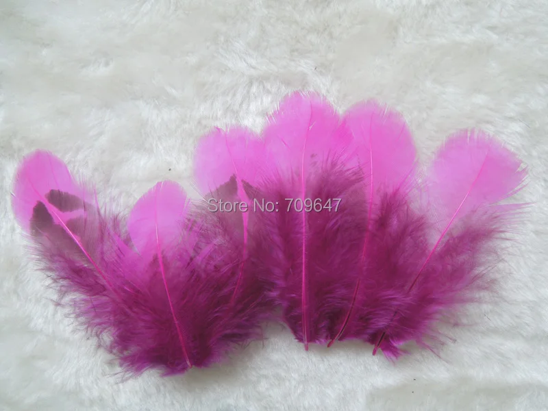 20Pcs/Lot!5-8CM Loose Lady Amherst Pheasant Plumage Feathers,Small Plume for Crafts DIY ,5Colours for Choice