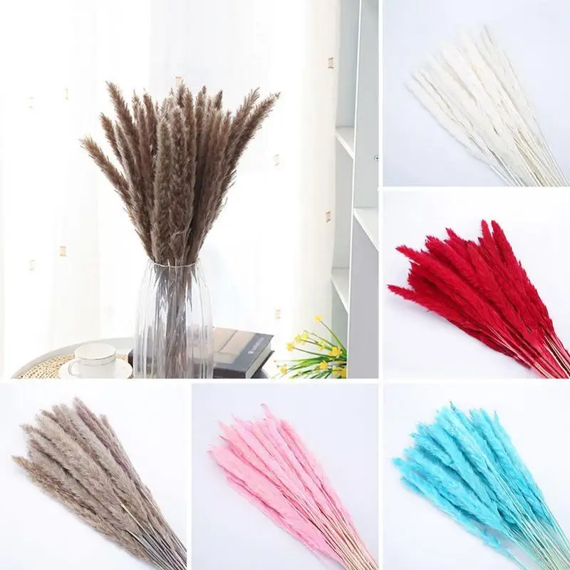 

Para Decoracion 15Pcs Dried Small Pampas Grass Flowers Pantas Artificiales Real Plants Home Decor Wedding Dekoration Sechee