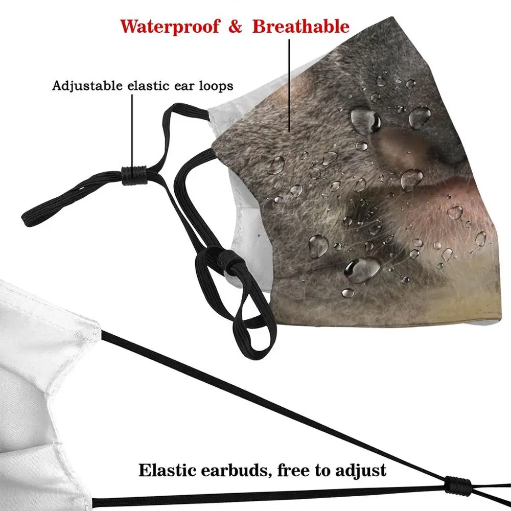 Маска коала портрет лицо коала мама коала папа коала медведь животное Австралийский медведь природа дикая милая Коала для влюбленных