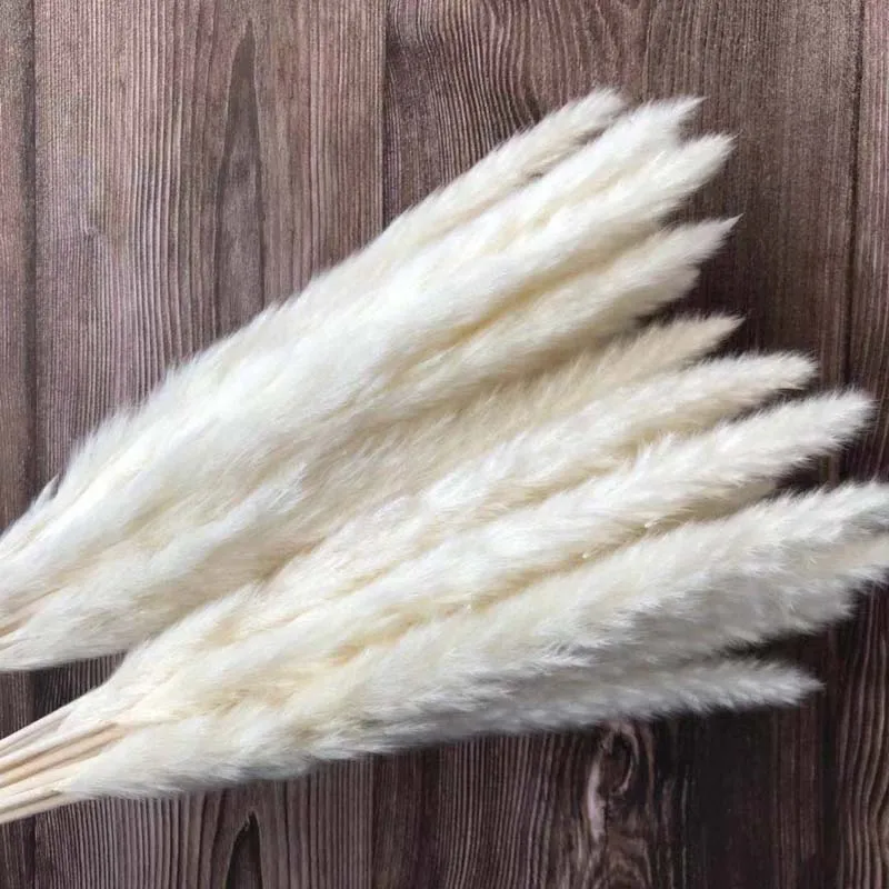 30PCS/Length 40-43CM Real Dried Natural Grass Reed Flower,Dry Small Bulrush Bouquet,Pampas Reeds,Home Decoration,Wedding Decor