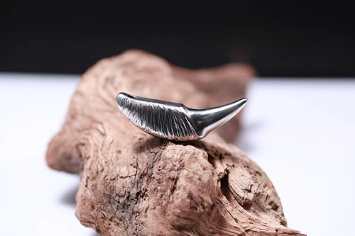 Imagem -03 - Pingente de Dentes de Lobo de Moda de Titânio Puro Mackwalker