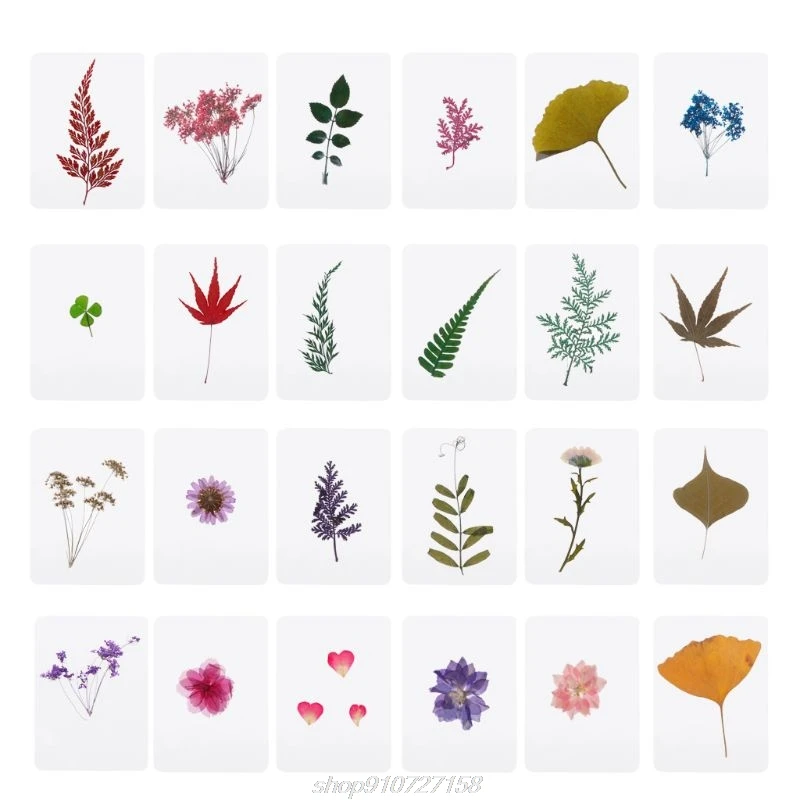 Mix Pressed Flower Leaves Plant Fillers for Epoxy Resin Jewelry Making J08 21 Dropshipping