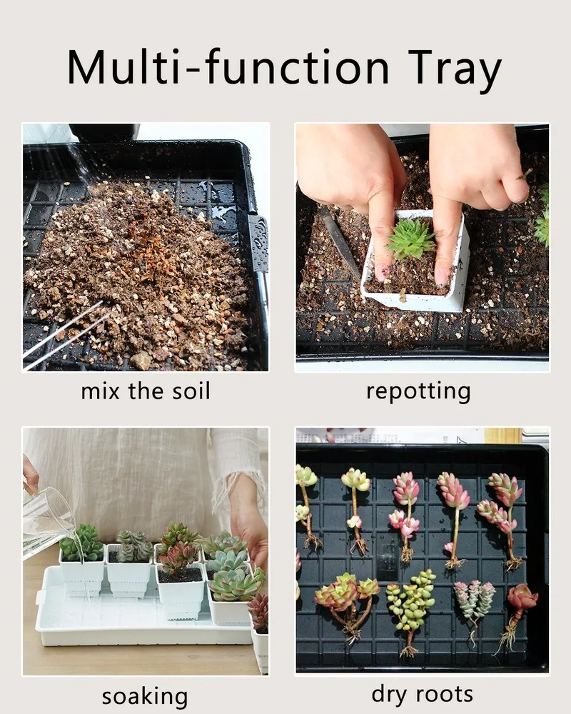 Meshpot Pot Trays for Plants Thick Rectangular Pallet Succulent Pots Saucer Store and Drainage Soaking Plant Saucer