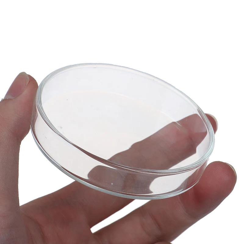 Clear Glass Glass Petri Dishes Cell Sterile Culture Dish Lab Supplies Feeder Tray Round Container Aquarium