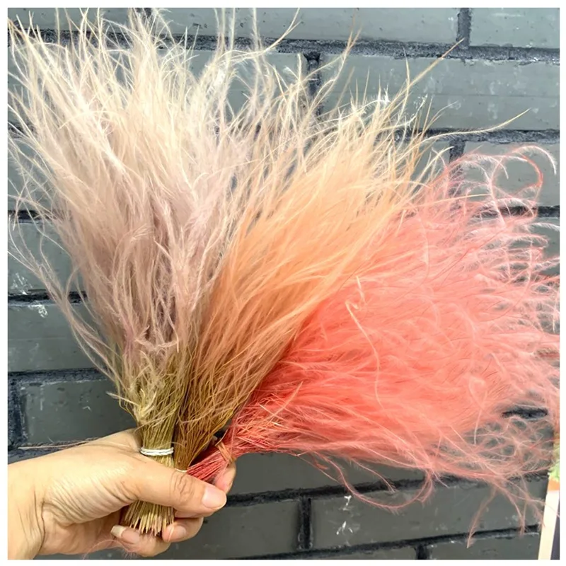 400pcs/lot natrual dried flowe feather grass  home decoration large size wedding decoration new trendy fashion  wholesale