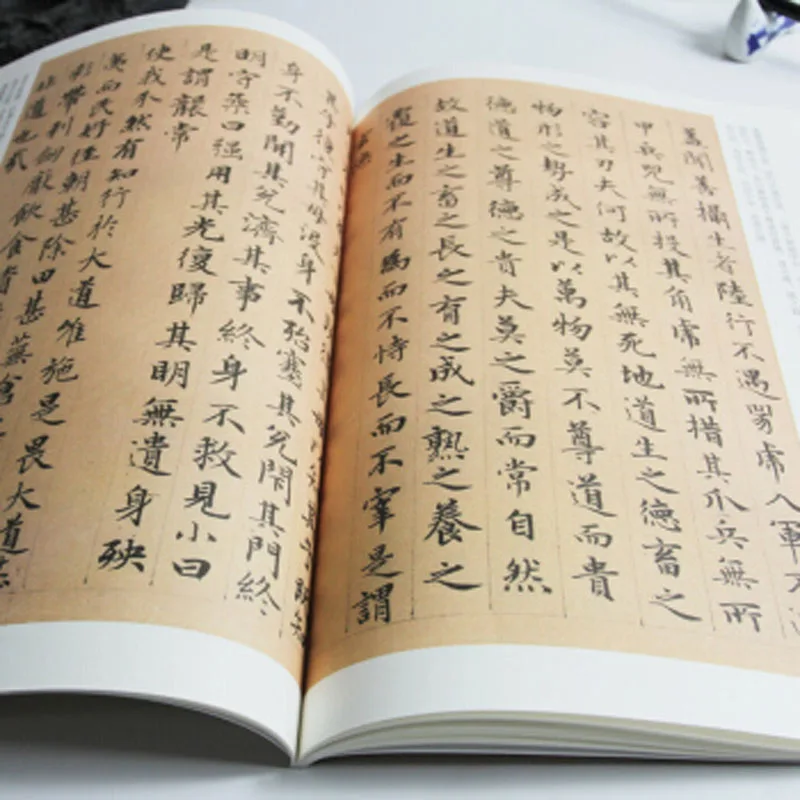 Zhao Mengfu Tao Te Ching Daodejing - Chinese Calligraphy Copybook student beginner Simple Regular Script copybook