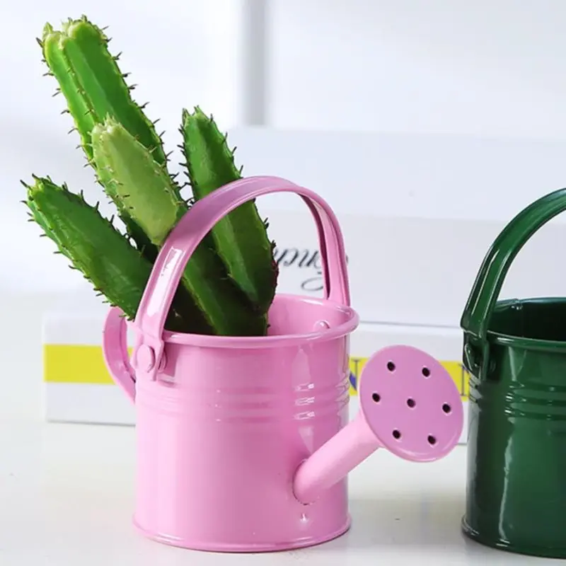 1pc 2021 New Candy Color Mini Sprinkler Home Garden Indoor Vintage Flower Metal Planting Pot Watering Iron Pott Cheap Wholesale