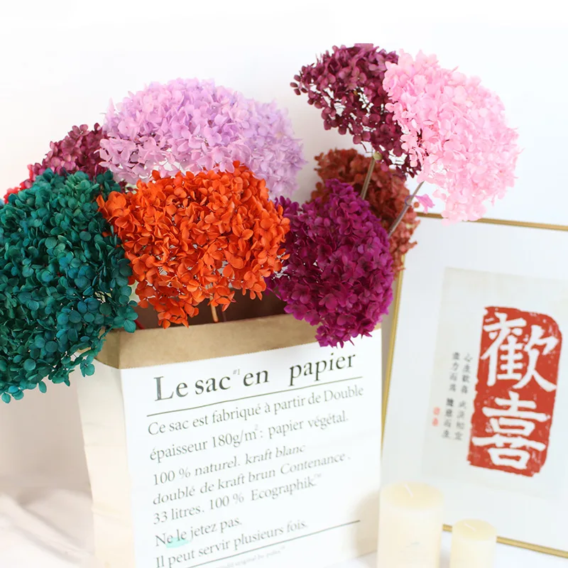 Christmas Natural Dried Flowers Preserved Hydrangea Branch Head Can Be Matched With Valentines Day Gifts Edding Decoration