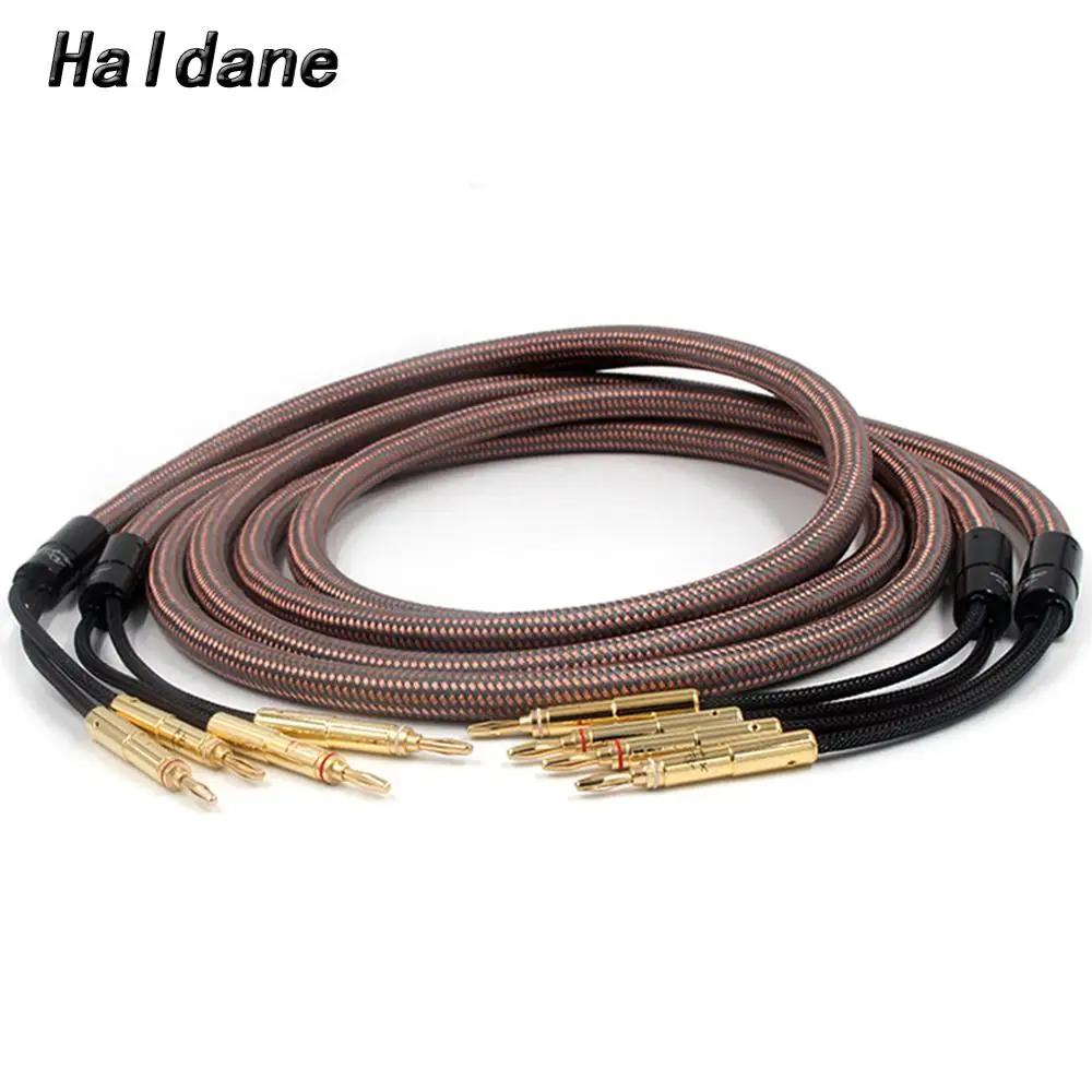 Haldane pair HIFI Accuphase 40th Anniversary Edition Speaker Cable OCC Pure Copper Audio Speaker Wire Loudspeaker Cable