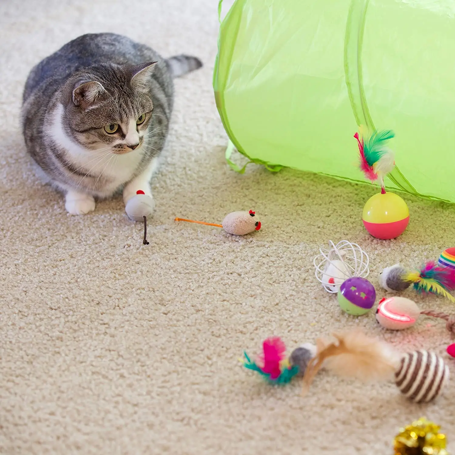 21Pcs Cat Toys Kit Collapsible Tunnel Cat Toy Fun Channel Feather Balls Mice Shape Pet Kitten Dog Cat Interactive Play Supplies