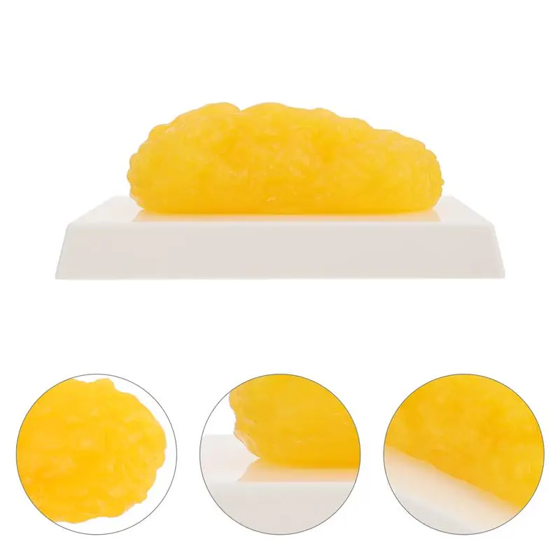 Human Body Fat Replica 1 Pound Fat Model Fat Anatomical Fat Model for Keep Fit