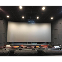 Fixed Fame 8K ALR Screen 165 inch Sound Perforate Acoustically Transparent Projection Screen for Home Theatre System