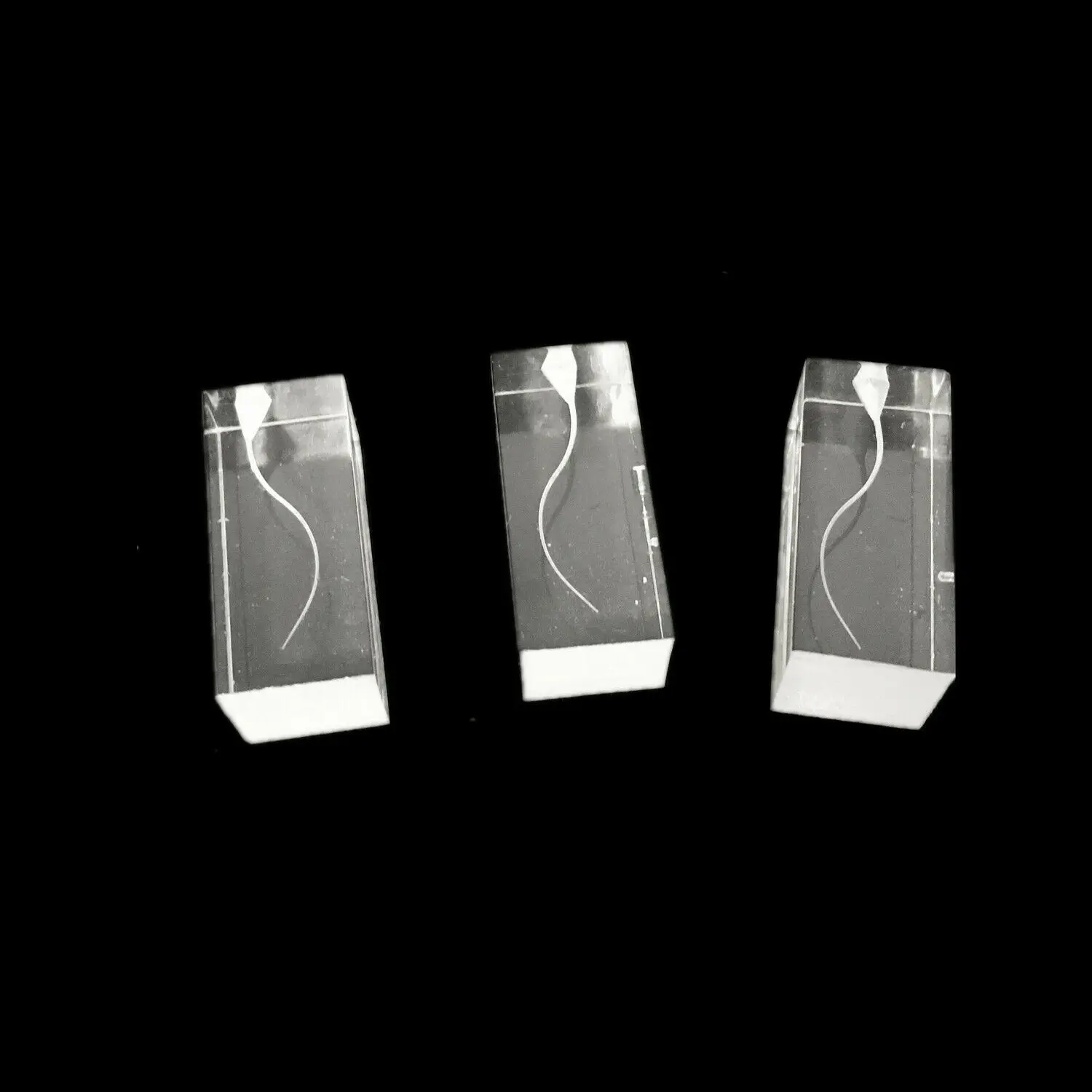 

Dental Transparent Endo Training Blocks Root Canal Files Practice S Type Model