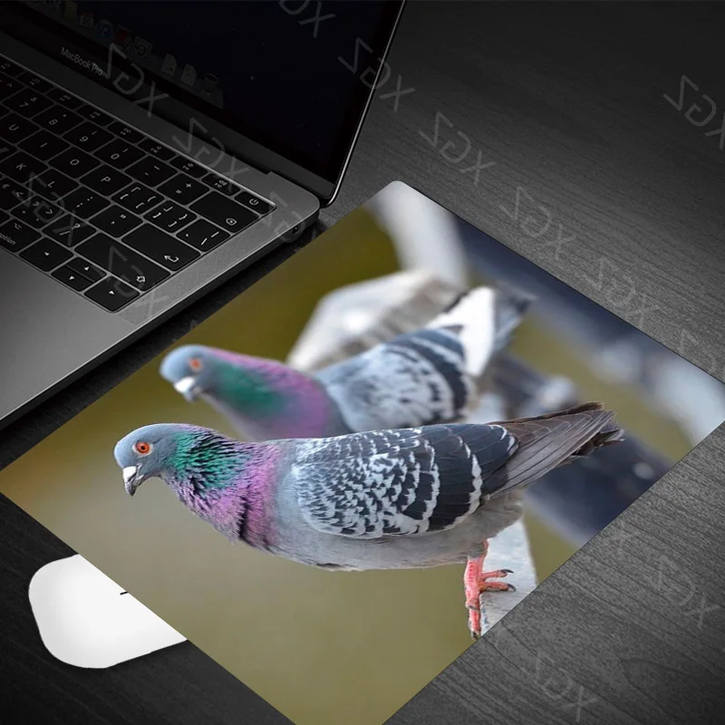 Yzuoan High Quality Animal Pigeon Pictures Speed Version Gaming Mouse Pad Gamer Small Size Mouse Keyboards Mat Desk Mousepad