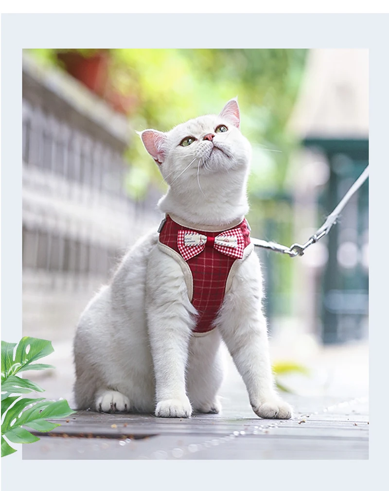 Bowknot Cat Harness and Leash Set Adjustable Puppy Harness Cat Lead Leash Clothes Vest Nylon Mesh Kitten Collar Cat Accessories