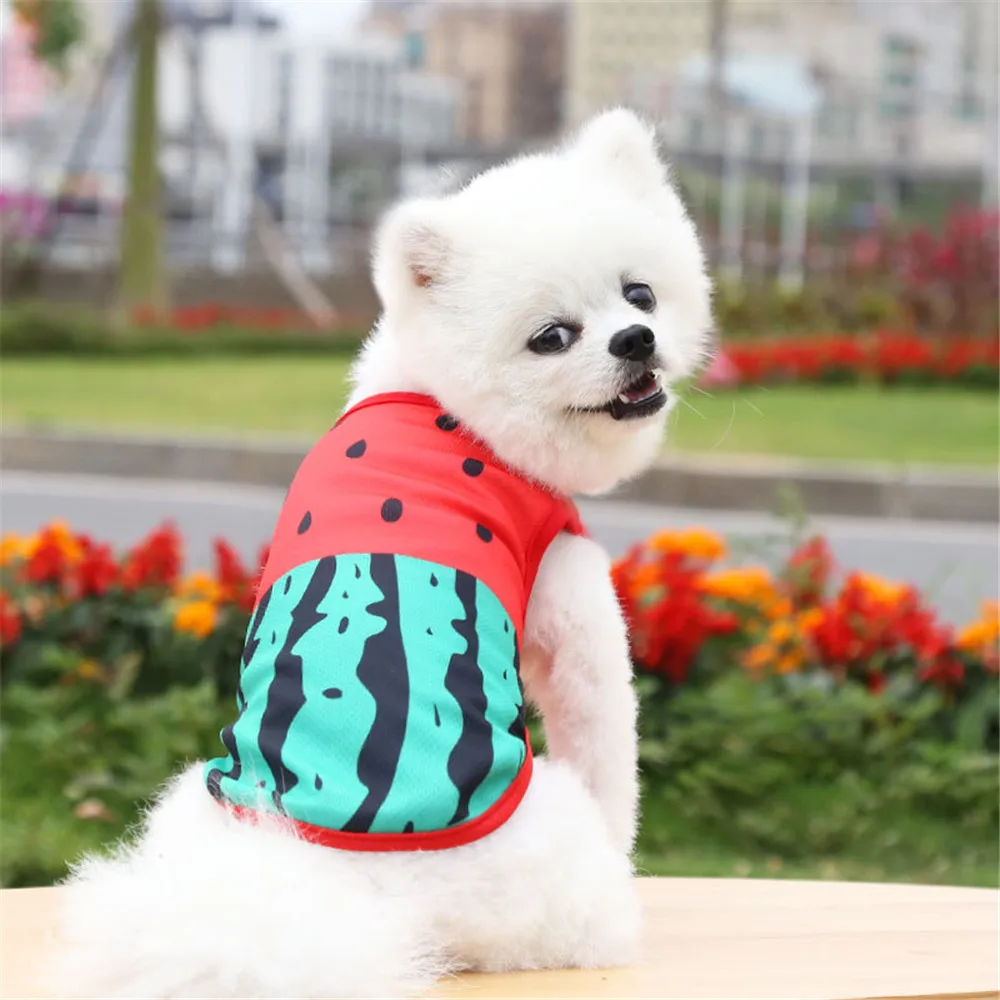 OIMG Small Dog Clothes For Spitz Pomeranian Chihuahua Fruit Print Puppy Sleeveless Summer Cat Clothes Dog T-shirts Pet Costume