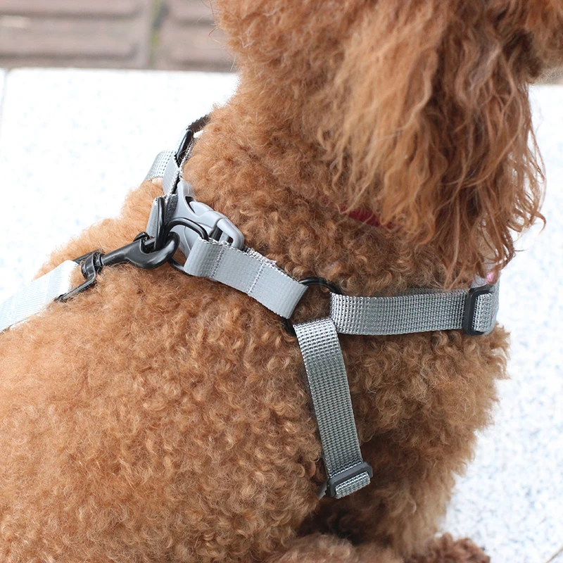 Adjustable Pet Dog Vest Harnesses for Small Medium Dogs Mesh Reflective Dog Harness Poodle Shih Tzu Accessories Mascota Supplies
