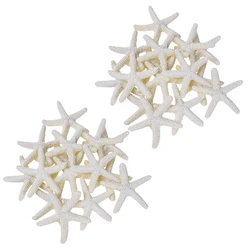 30 Pieces creamy-white Pencil Finger Starfish for Wedding Decor, Home Decor And Craft Project