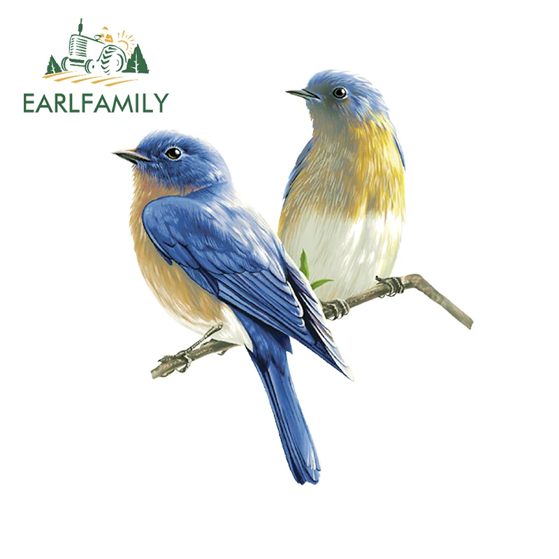 EARLFAMILY 13 سنتيمتر x 11.3 سنتيمتر ل إبداعات الطيور مضحك ملصقات السيارات واقية من الشمس ويندوز الوفير ملصق مائي دراجة نارية جذع الفينيل سيارة التفاف