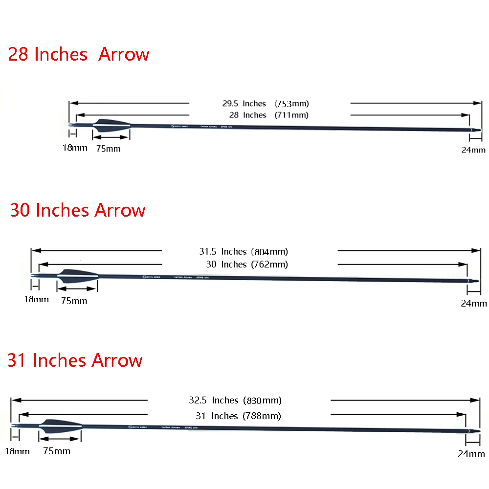 Carbon Arrow 28 Inch 30 Inch 31 Inch Spine 500 with Replaceable Arrowhead for Compound/Recurve Bow Archery Hunting