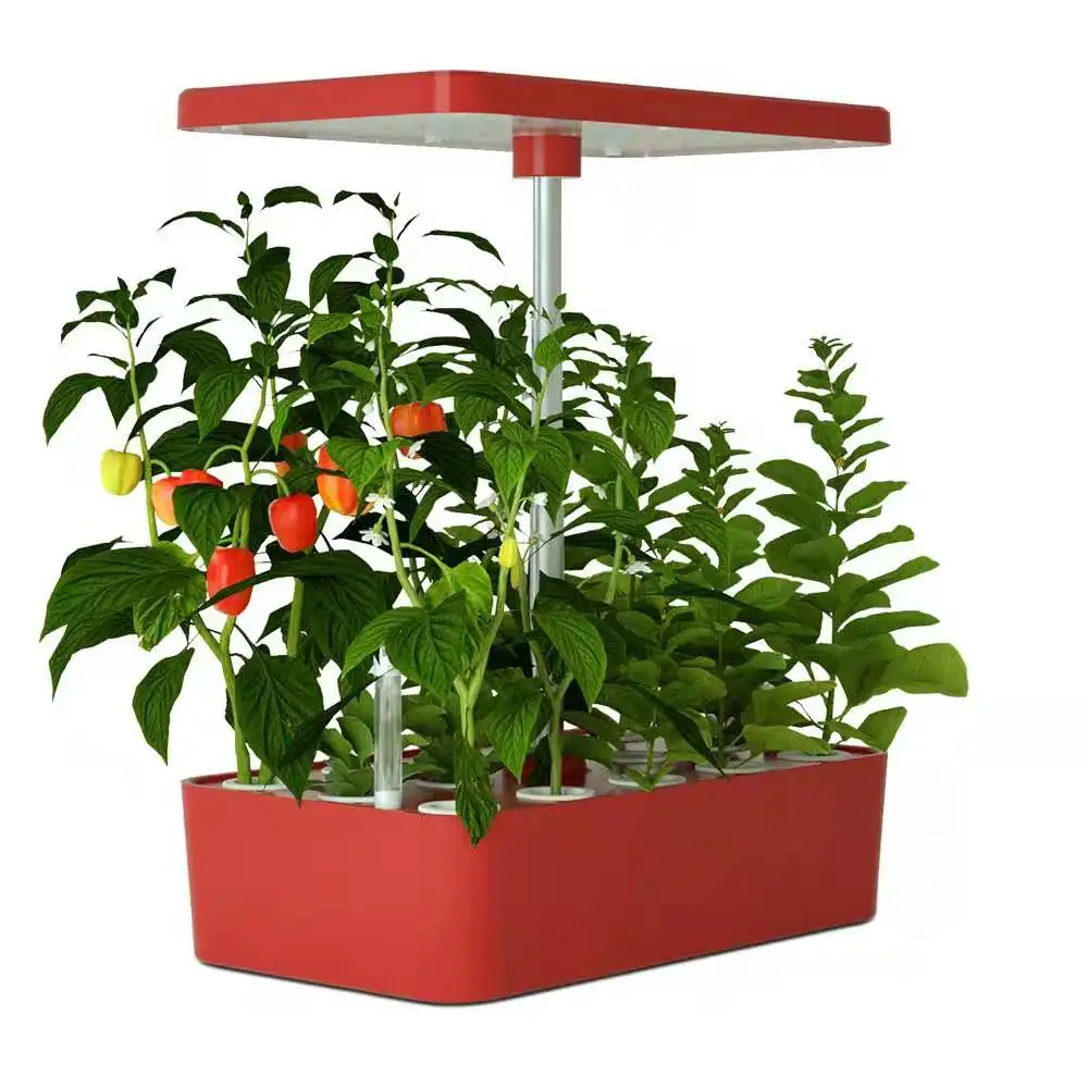 Modern Design Automatic Hydroponic System with LED Grow Lights Real Indoor Urban Garden