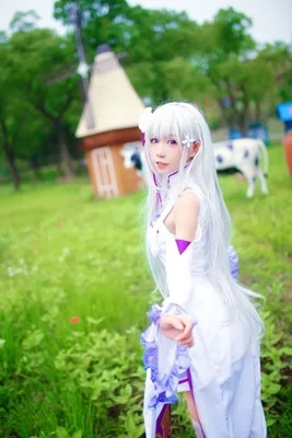 Life in a Different World from Zero Emilia Cosplay Wigs Long Sliver Straight Heat Resistant Synthetic Hair+ Wig Cap