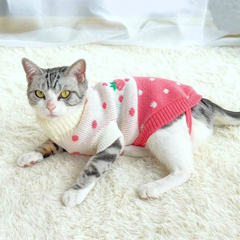 Antumn Winter Clothes For Cats Mascots Katten Sweater Coat For Dogs Cat Costume For Small Dogs Chihuahua Pugs French Bulldog