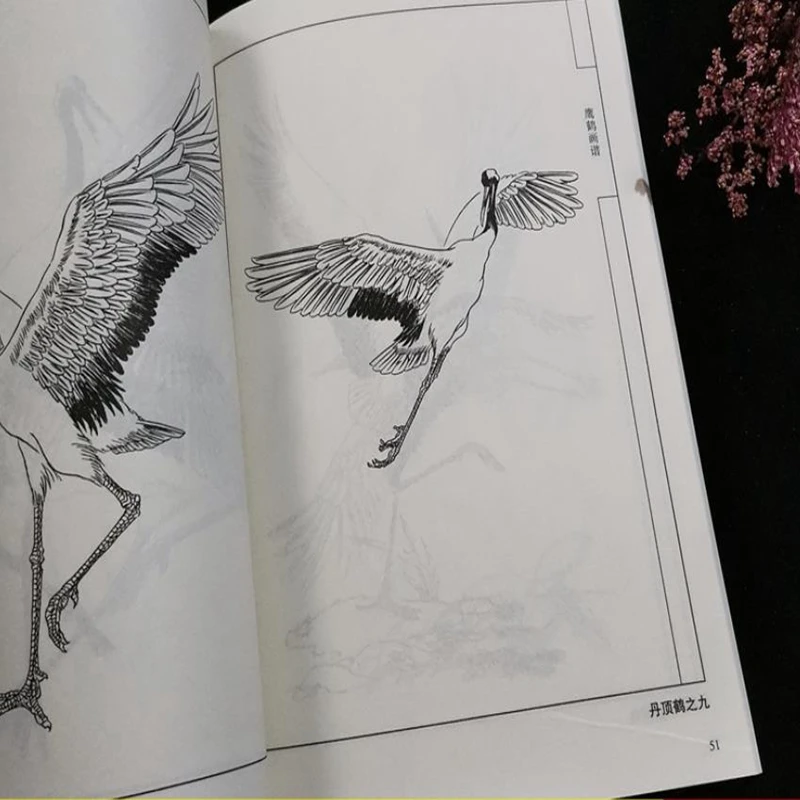 1pc Chinese Ink Painting Hawk Eagle Red-Crowned Cran Outline Sketch Tattoo Book