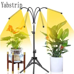 Phyto Lamp USB Dimmable Led Plant Grow Light 45W Full Spectrum For Indoor Flower Tent Plant Seedling Fitolampy