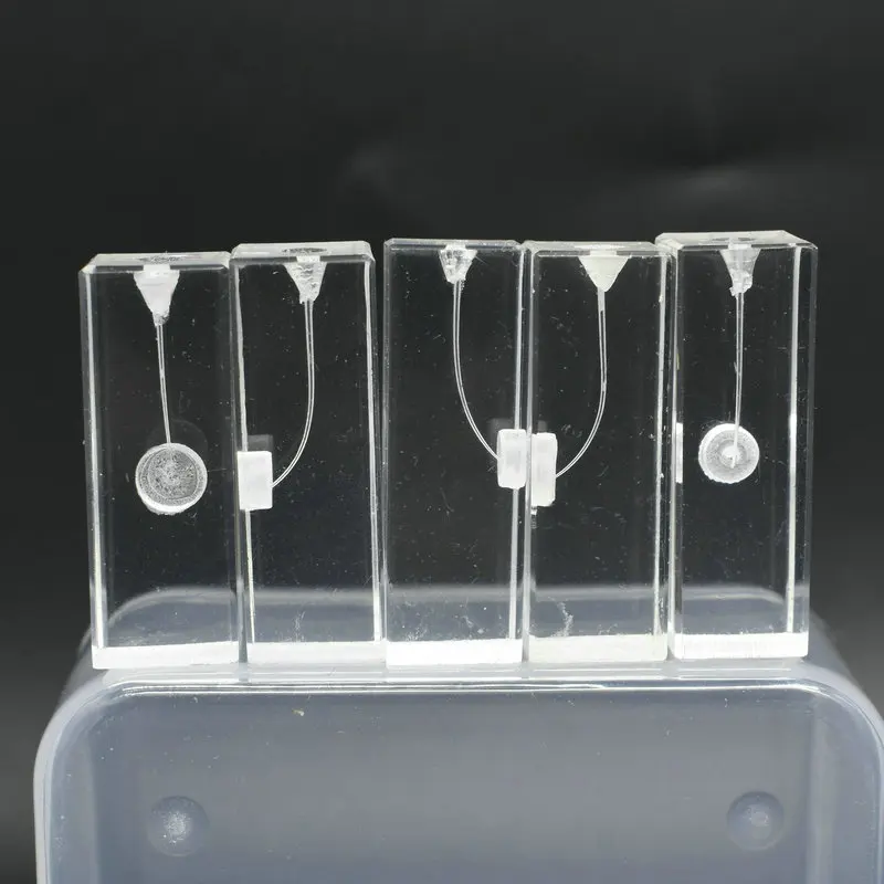 Dental Instrument Model Block Of Root Canal Endondontic Files For Dental Student Teaching Study Instrument Dentist Tool