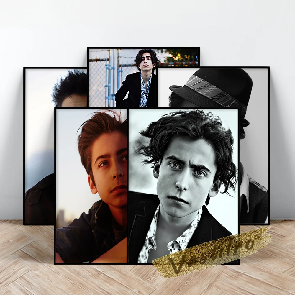 Aidan Gallagher Actor Poster, Movie Teleplay Star Wall Art, Handsome Man Art Prints, Gallagher Singer Wall Painting, Idea Gift