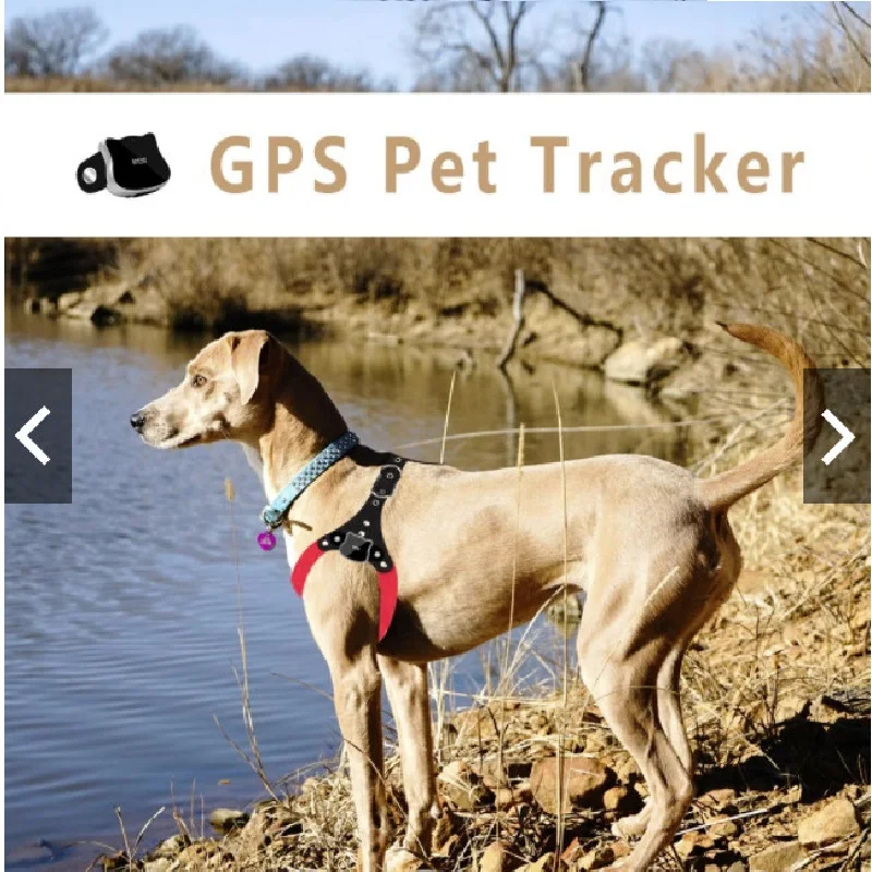 Satellite Real-Time Tracking System Best Pet GPS Tracker Locator For Dogs cats RYDG02M