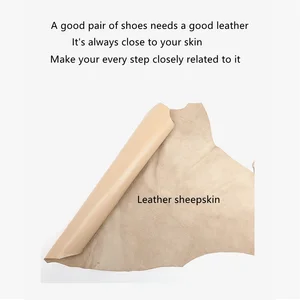 12 Main Sales Female Leaps Luxury - №4