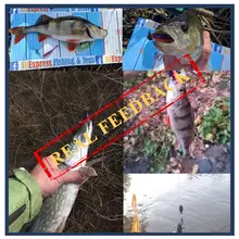 Soft Fishing Lures Easy Shiner 50 100mm #6