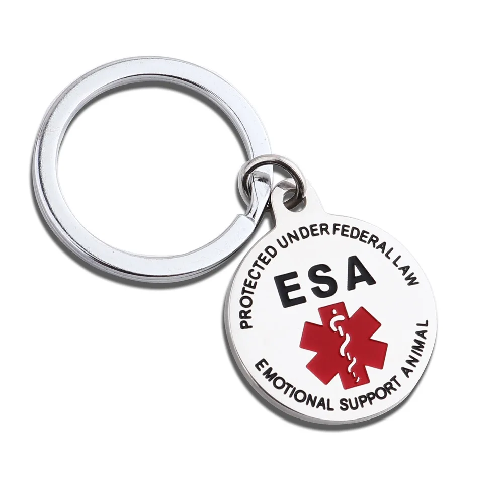 Epipen Tag, Epipen Bag Tag - Zipper Pull - Entirely Surgical Stainless Steel Medical Alert Symbol ID Tag Keychain Charms