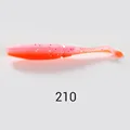NW210