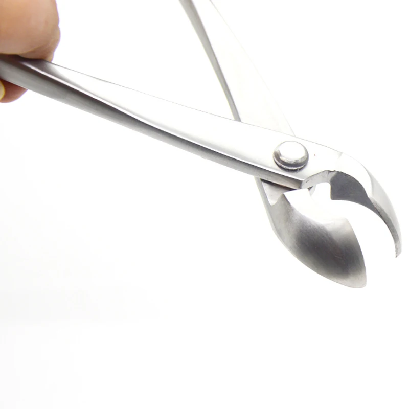 Professionelle Edelstahl 210 mm Runde Kante Cutter Multi Funktion von Runde und Gerade Rand 5Cr13MoV Edelstahl