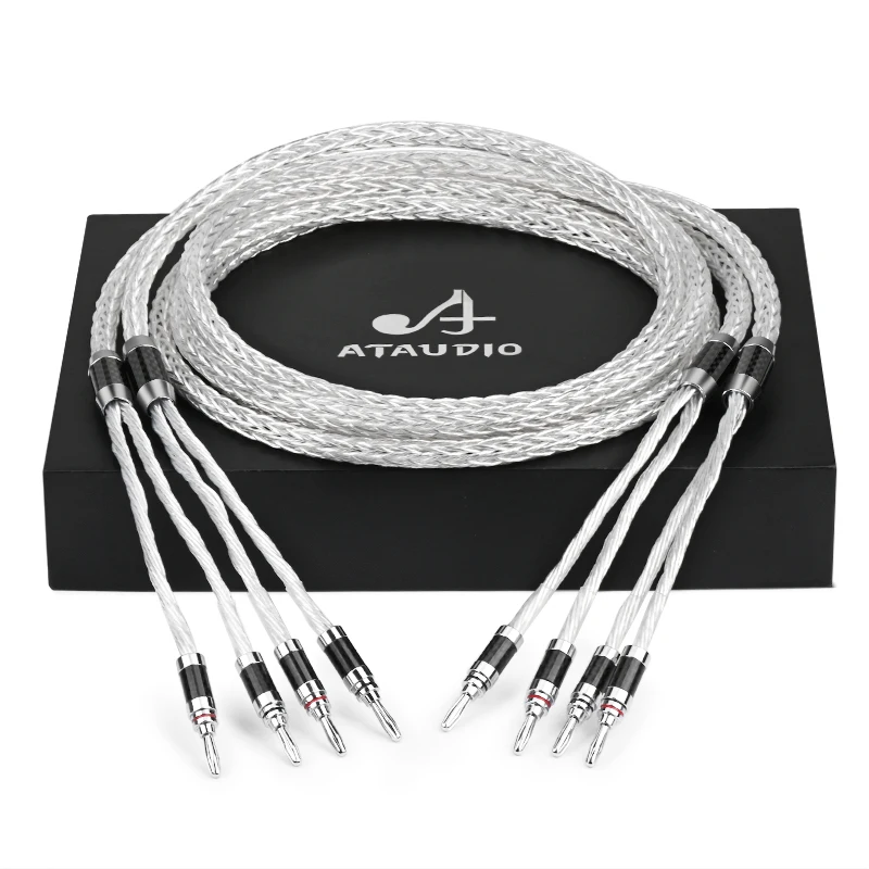 ATAUDIO HIFI 2-to-2 Banana Speaker Cable Silver 5
