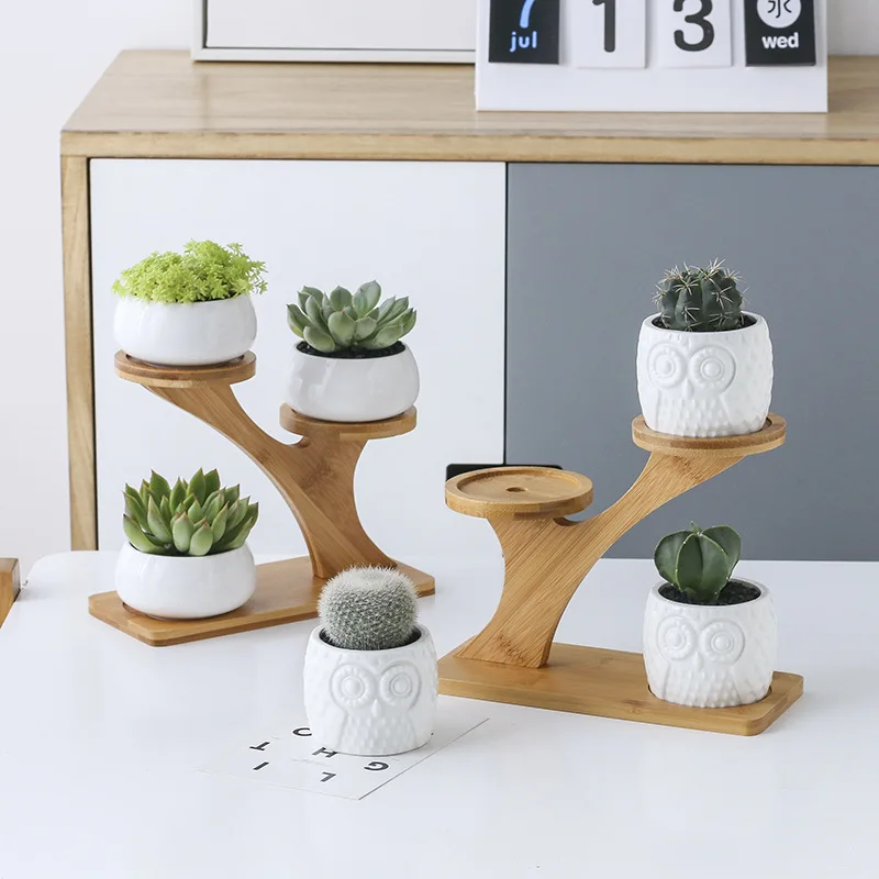 Creative Succulent Plant Shelves Flower Display Stand Bamboo Frame Ceramic Flowerpot Plant Tray