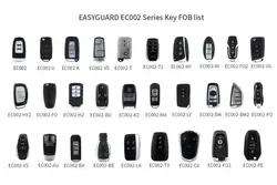 EASYGUARD 1 PC smart key only works with EASYGUARD