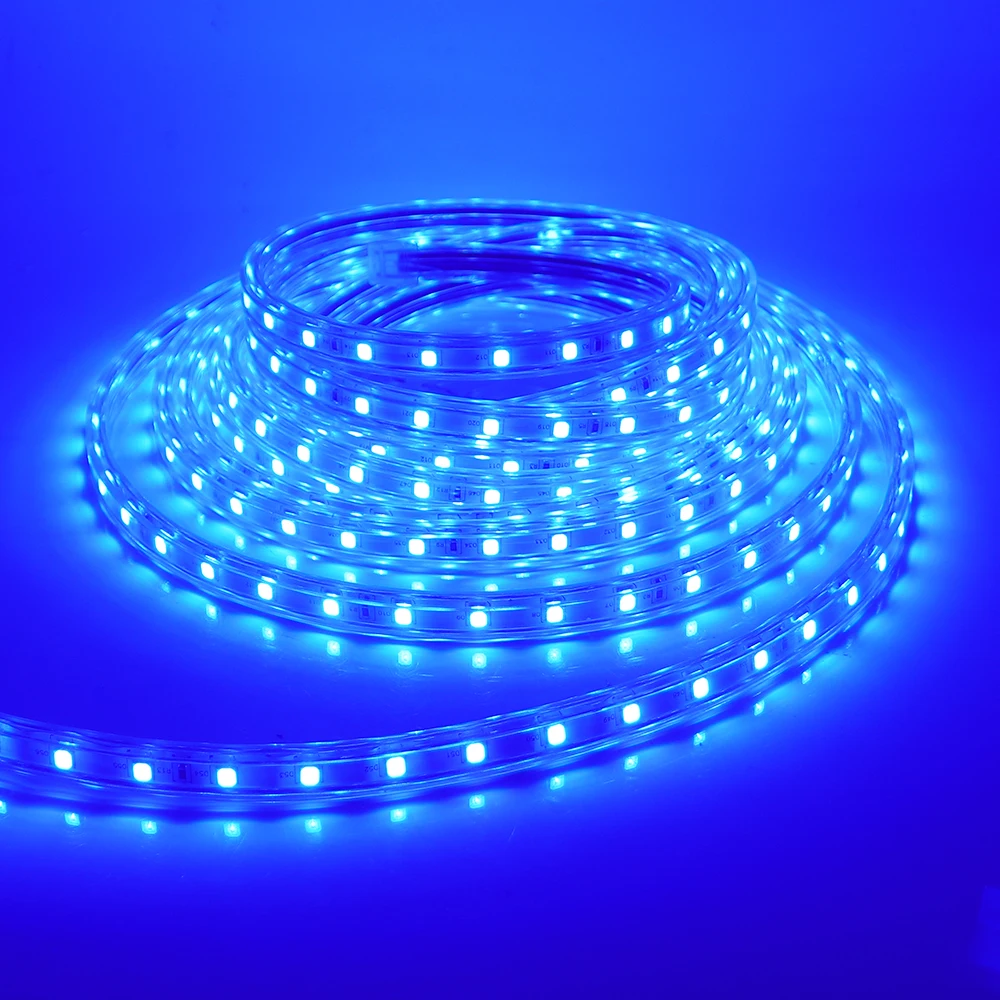 220V 5050 LED Streifen Wasserdicht 60LEDs/m Flexible LED-Band band Mit EU Schalter Stecker Für Zimmer schlafzimmer Decor 1m 2m 5m 10m 20m 25m