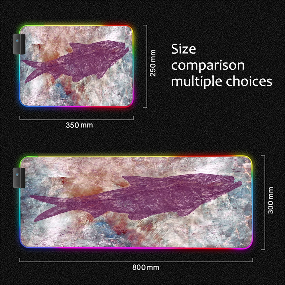 Mairuige Marble Pattern Life Fossil Fish RGB Various Large Size Mousepad LED Backlight USB Computer Desk Pad Custom Mousepad XXL