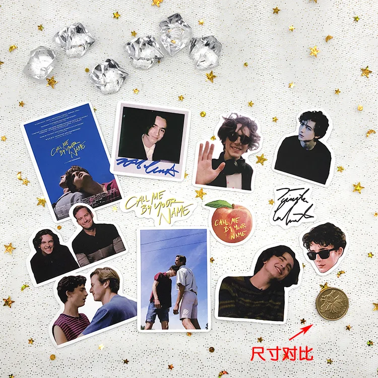 20 PCS Timothée Chalamet Photos Picture Sticker Daily Decorations Christmas New Year Birthday Gift