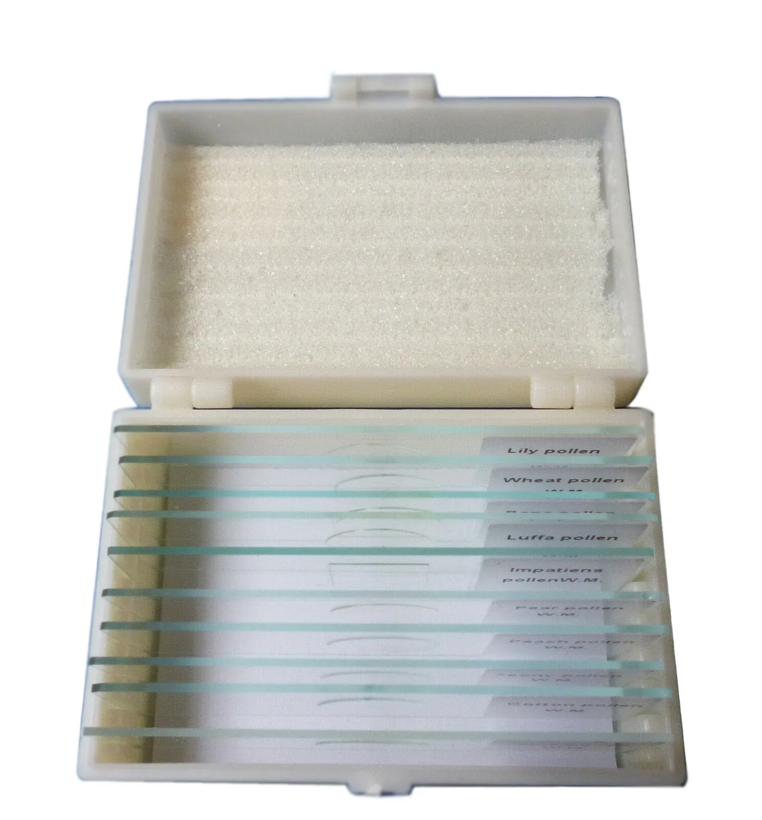 ONE Set 10Pcs Prepared Microscope Slides Choice of 7 Different Themes