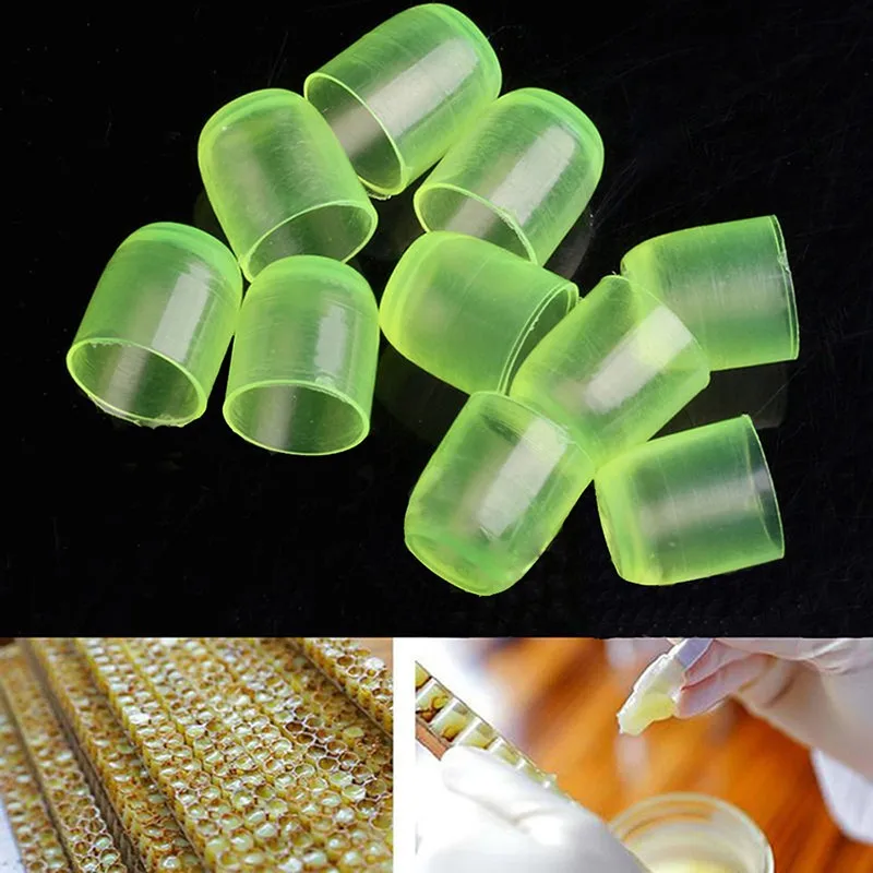 120Pcs Green Queen Bee Rearing System Cup Queen Cell Cultivation Portable Queen Breeding Base Appliance Beekeeping tool Bee Cage